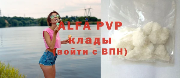 стаф Пересвет