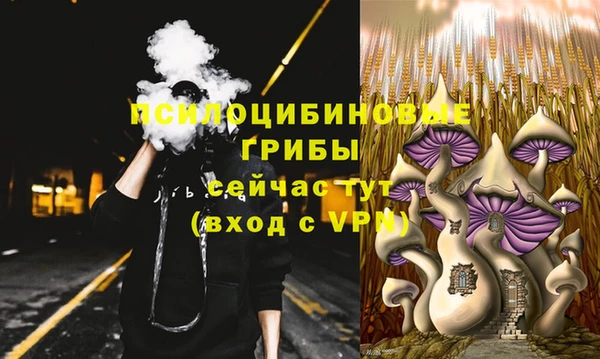 бошки Алзамай