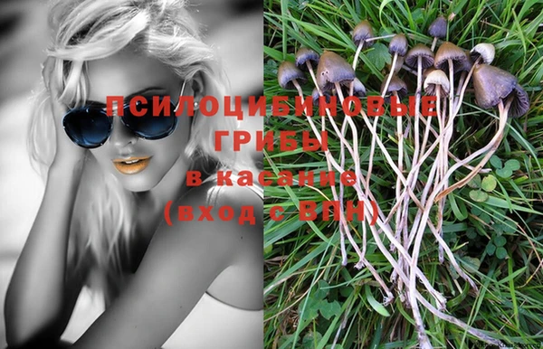 бошки Алзамай